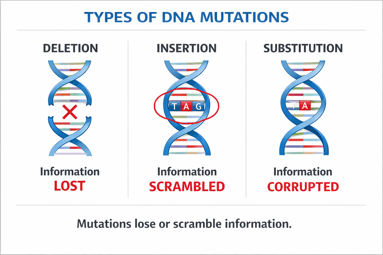 mutation-types